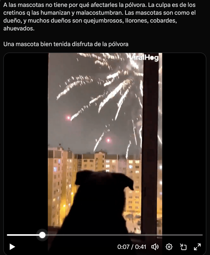 Perro ve espectáculo de pirotecnia